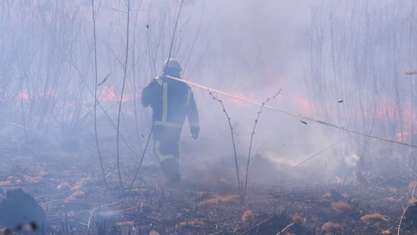 Firefighters in Equipment Extinguish Forest Fire with Fire Hose. Slow Motion