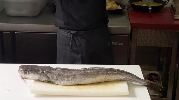 Chef presents a big hake ready to be cut and cleaned up