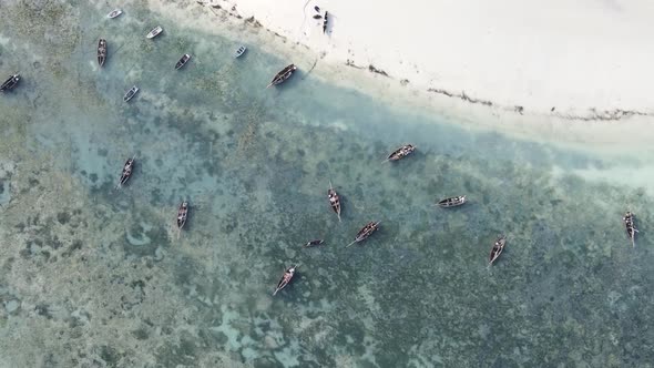 Vertical Video of the Ocean Near the Coast of Zanzibar Tanzania Aerial View