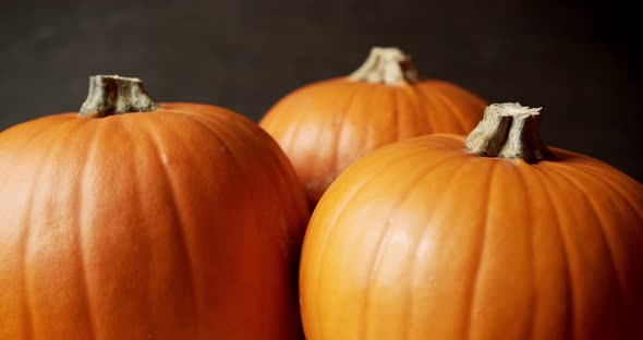 Beautiful Orange Pumpkin on a Dark Background