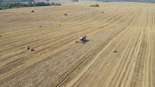 Agricultural Combines Harvest Ripe Cereal Crops On Farm Field Aerial View