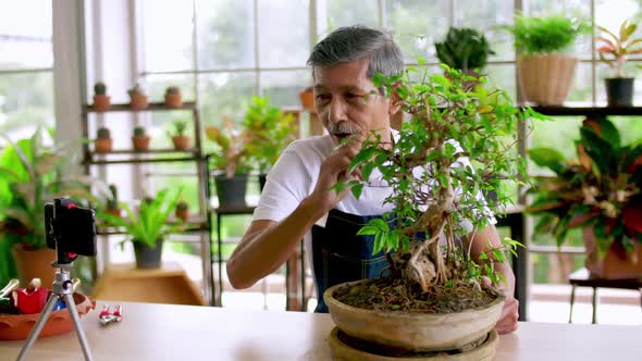 Senior gardener man selling beautiful plants on social media by streaming live from his shop.