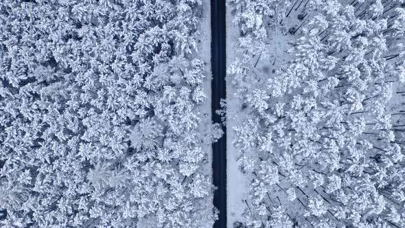 Road through snowy forest in winter. Transport in winter