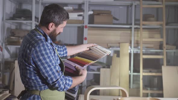 Brutal Man in a Beard Kraftman Chooses a Color Palette of Fabric for Making Furniture