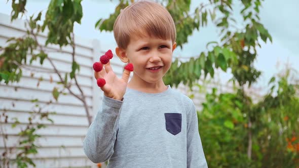 Happy Child 4 Years Old Holding Hands on Fingers and Eating Raspberries in Backyard