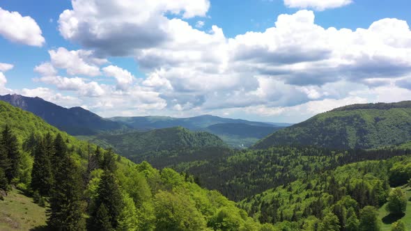 Forested Mountains   Aerial Views