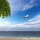 Airplane Flying Over Tropical Beach Travel Concept - VideoHive Item for Sale