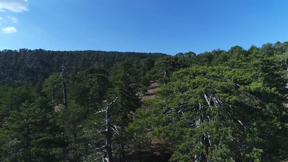 Drone shot from ground to sky over Troodos mountain range