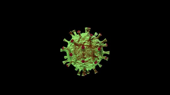 Corona Virus Infective
