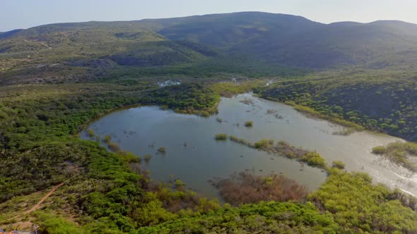 Wide Panoramic Landscape Aerial View of Dominican Coastal Mangrove Forest at Sunrise, Infused in Gol