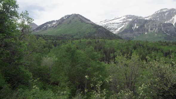 Panning view of mountain landscape over green forest.