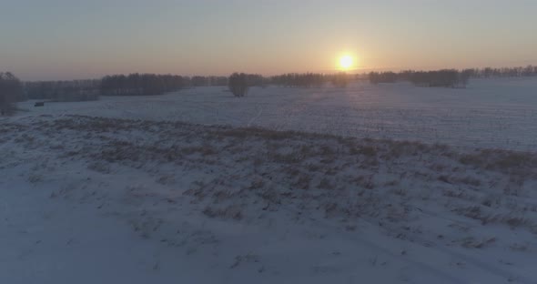 Aerial Drone View of Cold Winter Landscape with Arctic Field Trees Covered with Frost Snow and