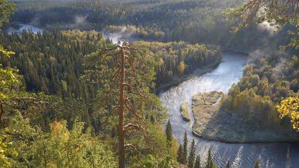 Panning Shot of Autumn Morning Landscape in Oulanka National Park, Finland