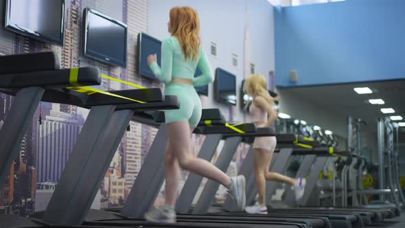 Wide Shot of Two Fit Sportswomen Running on Treadmill in Gym on Coronavirus Pandemic