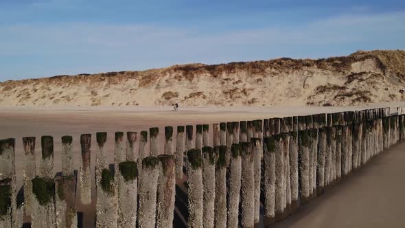 Mossy Wooden Pilings Standing On Sandy Shore With People Walking During Summer In Brouwersdam, Nethe