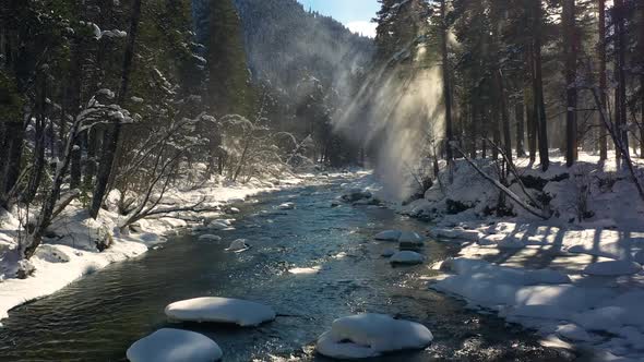 Beautiful Snow Scene Forest in Winter