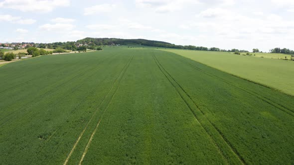 Aerial Drone Shot  a Green Field in a Rural Area  Drone Flies Backward