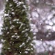 Falling snow in slow motion with blurred pine tree - VideoHive Item for Sale