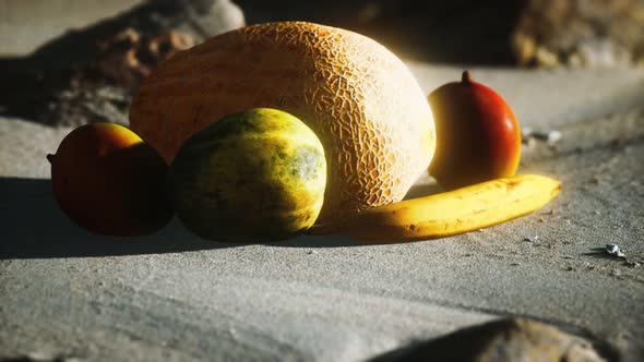 Desert Melon on the Sand Beach