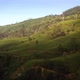 Aerial View Of Green Tea Plantation Fields In Sri Lanka - VideoHive Item for Sale