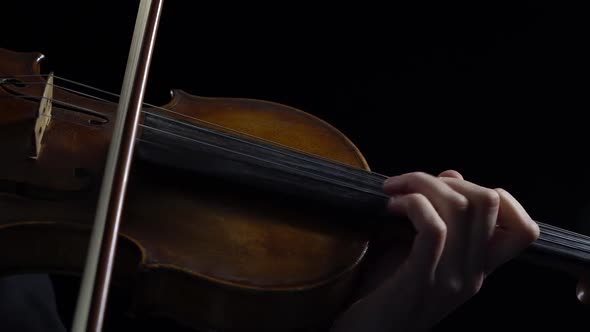 Women Play Strings of a Violin in a Dark Room. Black Background. Close Up