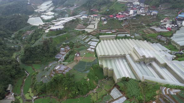 Cameron Highlands, Pahang Malaysia