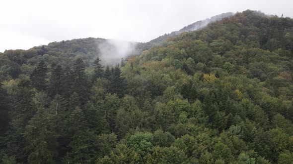 Aerial View of the Carpathian Mountains in Autumn. Ukraine