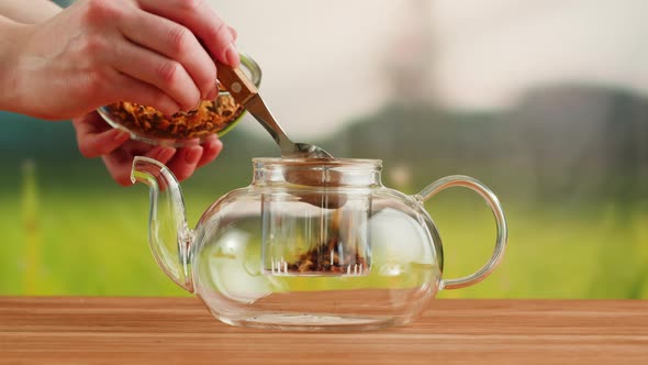 Putting Dry Tea Leaves Into Teapot on a Wooden Table