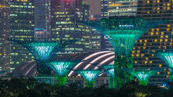 Marina Bay Sands Gardens By the Bay with Cloud Forest Flower Dome and Supertrees Night Timelapse