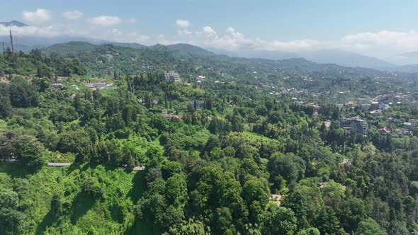 Aerial view of the Black sea coast. The Botanical Garden of Batumi, located at area of Green Cape