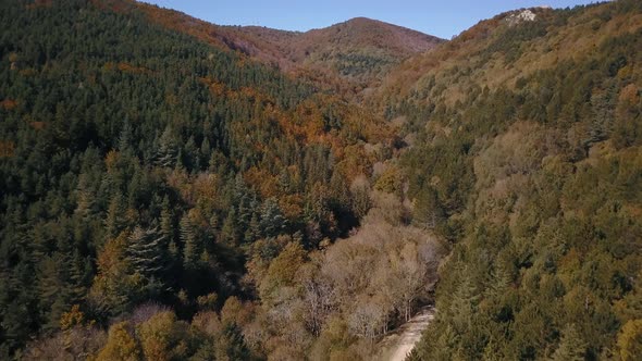 Smooth traveling drone shot above a forest in autumn, in the background a mountain 4K Pro Res