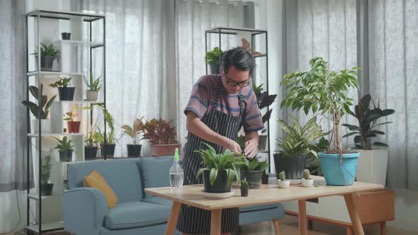 Asian Man Cleaning The Plant At Home