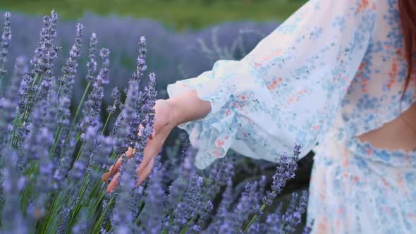 Female Hand on Lavender