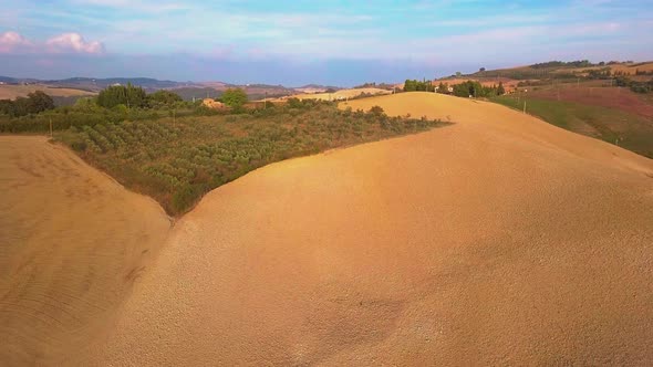 Aerial Footage, Gorgeous Vineyards on Sunset in Tuscany, Italy,