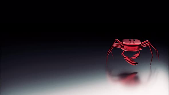 Animated small cute crab, model of crustacean animal