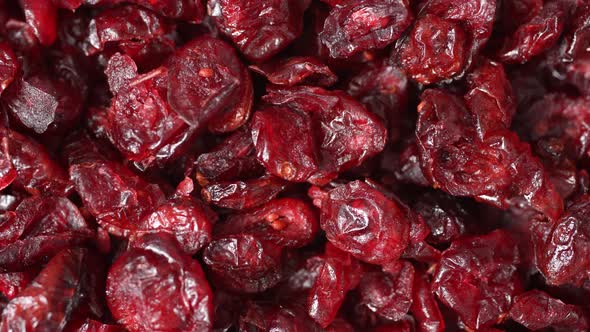 Dried Cranberries 41