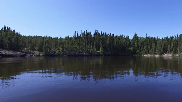 Lake shore with fir trees