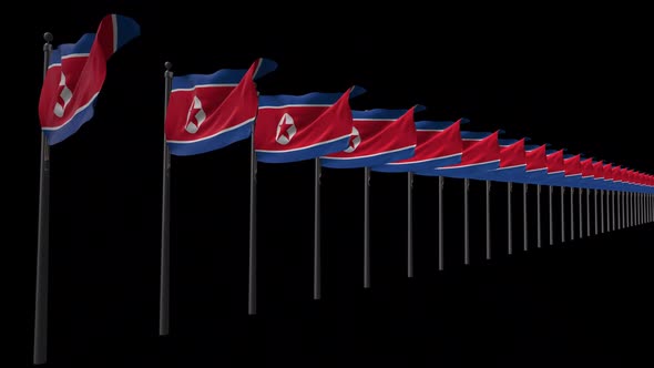 Row Of North Korea Flags With Alpha 2K