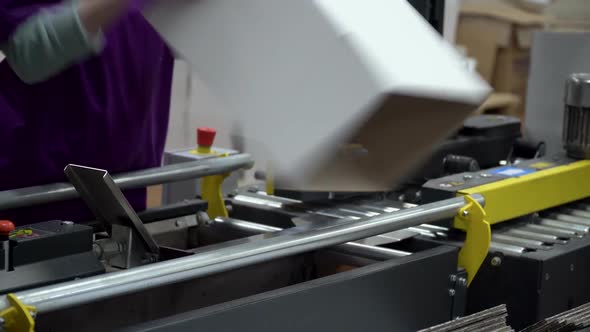 A Factory Female Worker Is Laying Out New Blank White Boxes and Putting Them on a Conveyor Belt