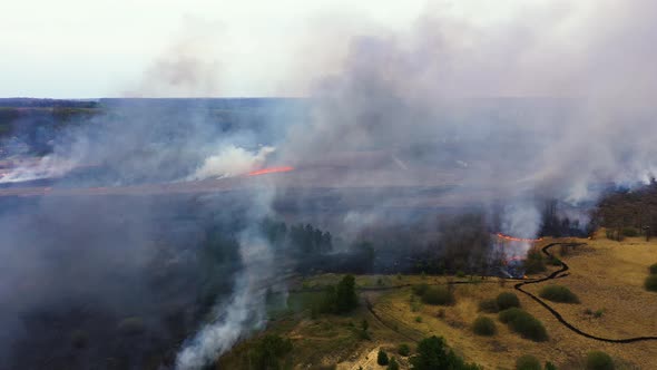 Natural Ecology disaster climate change. Aerial view of big smoke clouds and fire on the field