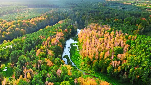 Colorful forest and river, aerial view of Poland in autumn