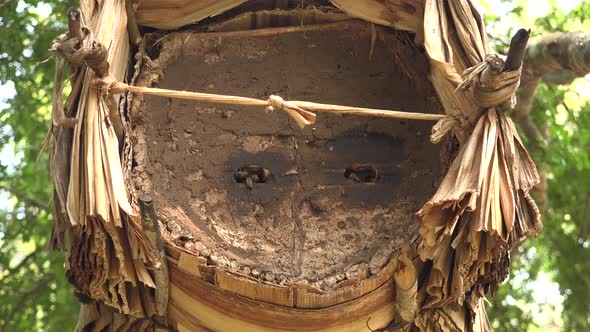 Beekeeping With Traditional Wicker Basket, Log and Skep Beehive