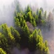 Aerial Flight Over the Morning Fog in a Mountain Forest - VideoHive Item for Sale