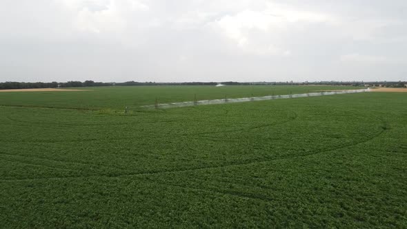 Soybean Field Irrigation, Field Irrigation System