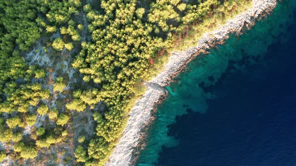 Aerial View of the Green Shores of the Island Korcula at Sunset Croatia