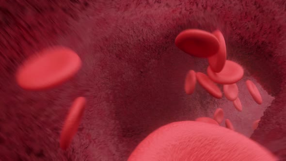 Blood Cells Flying Through Arteries