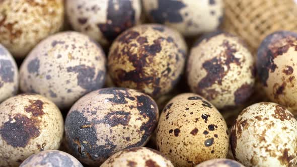 Uncooked Quail Eggs in Pack