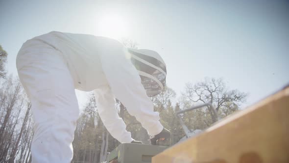 BEEKEEPING - Beekeeper ring a frame for inspection, low angle in slow motion