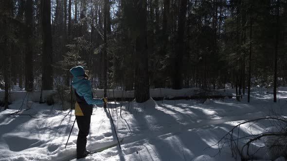 Fun Skiing in the Snowy Forest