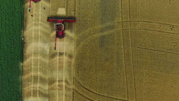 Top View on the Gold Wheat Fields with Two Combine Harvesters